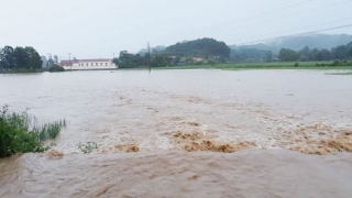 Cảnh báo đợt mưa lớn trái mùa tại Trung Bộ và Tây Nguyên