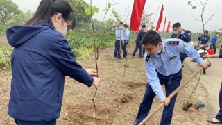 Hưng Yên: Cục Quản lý thị trường tỉnh, huyện đoàn Khoái Châu ra quân trồng 1 nghìn cây xanh