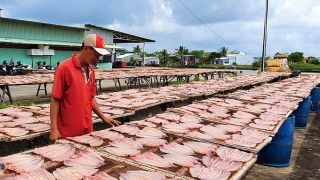 Cà Mau thực hiện di dời các cơ sở sản xuất gây ô nhiễm môi trường vào khu, cụm công nghiệp