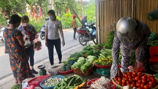 Yên Bái triển khai “Tháng hành động vì an toàn thực phẩm” năm 2022 từ ngày 15/4 đến ngày 15/5