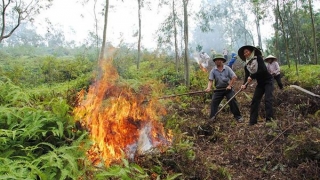 Bắc Giang triển khai các biện pháp cấp bách phòng, chống cháy rừng cấp độ IV