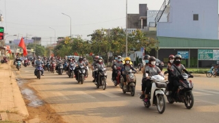 Long An chung tay phòng chống bệnh dại trên chó, mèo