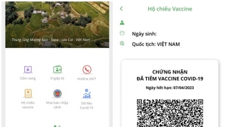 Bộ Y tế yêu cầu người đứng đầu các cơ sở tiêm chủng chịu trách nhiệm ảnh hưởng việc cấp hộ chiếu vaccine