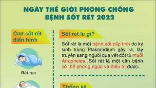 Ngày Thế giới phòng chống bệnh sốt rét 25/4/2022: Thúc đẩy công bằng - Rèn luyện khả năng hồi phục - Kết thúc bệnh sốt rét