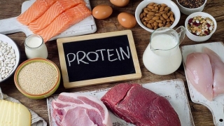 Một loại protein là chất điều chỉnh trọng lượng cơ thể