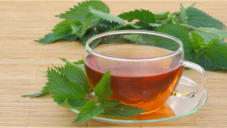 5 lợi ích của trà tầm ma đối với sức khỏe
