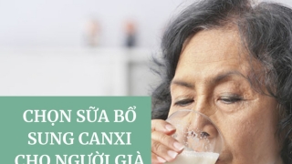 Lưu ý lựa chọn sữa bổ sung canxi cho người cao tuổi