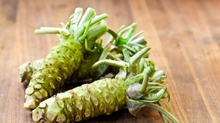 Wasabi - thảo dược quý