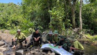 Hải Phòng tăng cường các biện pháp bảo vệ tài nguyên rừng và giữ vững môi trường sinh thái