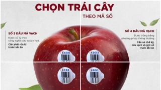 Bạn đã hiểu những mã số in trên trái cây chưa?