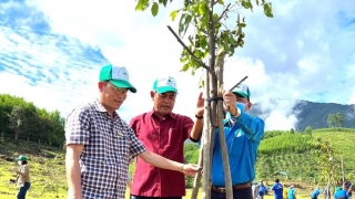 Đắk Lắk: Huyện Krông Bông tổ chức lễ phát động Tết trồng cây 'Đời đời nhớ ơn Bác Hồ”