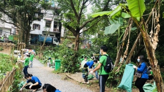 'Vườn rừng cộng đồng' - Dự án làm xanh sạch ven sông Hồng của Đoàn thanh niên phường Chương Dương