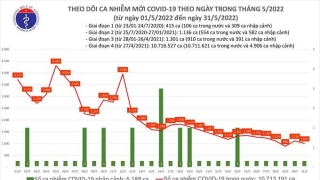 Tối 31/5: Ghi nhận 1.010 ca nhiễm mới, 5.757 bệnh nhân khỏi bệnh