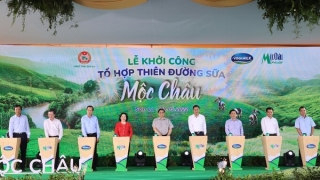 Mộc Châu Milk và Vinamilk chính thức ra mắt và khởi công dự án “Tổ hợp thiên đường sữa Mộc Châu'