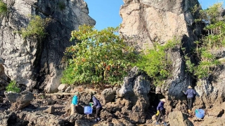 Quảng Ninh: Bảo vệ Trái đất với phương châm 'Sống bền vững hài hòa với thiên nhiên”