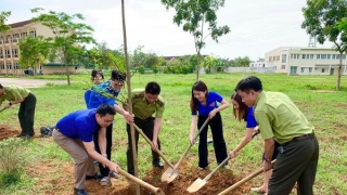 Thanh Hóa  tổ chức Hội thi truyền thông bảo vệ rừng, phòng cháy chữa cháy rừng và trồng cây