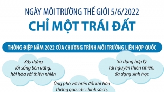 Infographic Ngày Môi trường thế giới 5/6/2022: Chỉ một Trái Đất