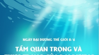 Ngày Đại dương thế giới 8/6/2022: Hồi sinh - cùng hành động vì đại dương