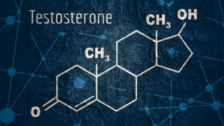 Nồng độ testosterone cao hơn làm giảm nguy cơ thất nghiệp của nam giới