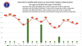 Tối 17/6: Ghi nhận 723 ca nhiễm mới, 8.381 bệnh nhân khỏi bệnh