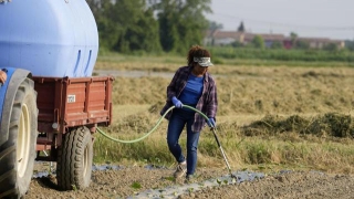 Italy: Hạn hán tồi tệ nhất trong 70 năm ở miền Bắc