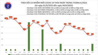 Tối 20/6: Ghi nhận 521 ca nhiễm mới, 9.770 bệnh nhân khỏi bệnh