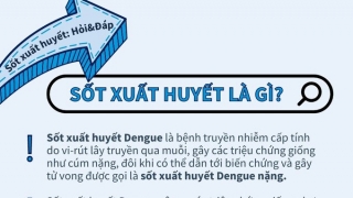 Hỏi - Đáp về bệnh sốt xuất huyết Dengue