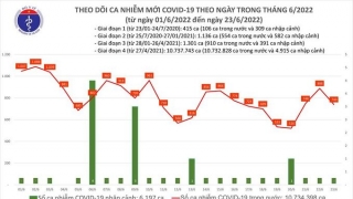 Tối 23/6: Ghi nhận 740 ca nhiễm mới, 5.087 bệnh nhân khỏi bệnh