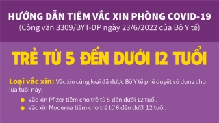 Infographic: Hướng dẫn tiêm phòng vaccine COVID-19 cho người từ 18 tuổi trở lên