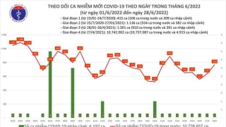 Tối 28/6: Ghi nhận 769 ca nhiễm mới, 9.505 bệnh nhân khỏi bệnh