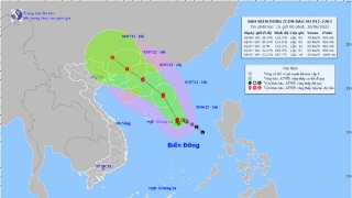 Cập nhật tình hình cơn bão số 1 CHABA: Đang tiến gần đến Quảng Ninh