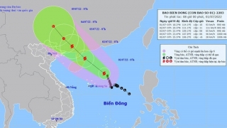 Hải Phòng chủ động ứng phó với bão số 1 năm 2022