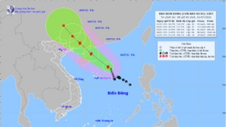 Cập nhật tình hình cơn bão số 1 CHABA: Tiếp tục di chuyển chủ yếu theo hướng Tây Bắc