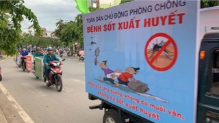 Hà Nội tăng cường công tác phòng chống dịch bệnh sốt xuất huyết Dengue