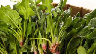 Những loại rau tốt cho người trên 50 tuổi