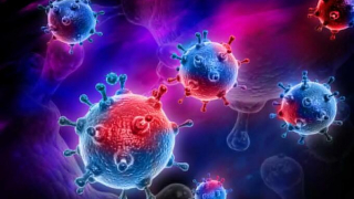 Vaccine cúm phổ thông mới do chính phủ Hoa Kỳ phát triển bắt đầu thử nghiệm trên người