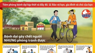 Cà Mau đẩy mạnh công tác phòng, chống bệnh dại