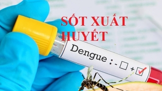 Đồng Nai ghi nhận thêm 1 ca tử vong do sốt xuất huyết