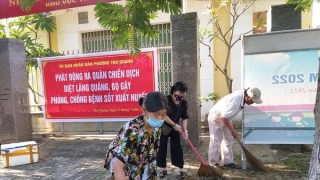 TP. Đà Nẵng tổ chức chiến dịch diệt lăng quăng, bọ gậy phòng tránh dịch sốt xuất huyết