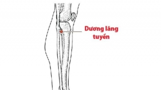 Bấm hυyệt dương chi lăng tuyền giúp thư giãn gân mạch