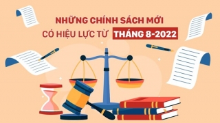 Một số chính sách có hiệu lực từ tháng 8/2022