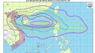 Dự báo bão, áp thấp nhiệt đới trong tháng 8