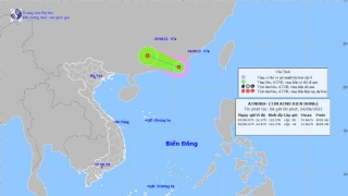 Biển Đông xuất hiện áp thấp nhiệt đới