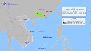 Cập nhật tình hình áp thấp nhiệt đới trên Biển Đông