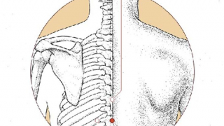 Cách bấm huyệt Chí Dương mang lại lợi ích cho sức khỏe