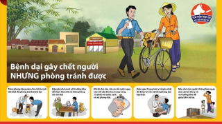 Cà Mau tiếp tục đẩy mạnh công tác phòng, chống bệnh dại