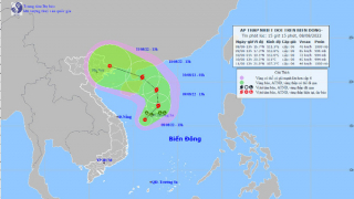 Vùng áp thấp trên khu vực Bắc Biển Đông đã mạnh lên thành áp thấp nhiệt đới