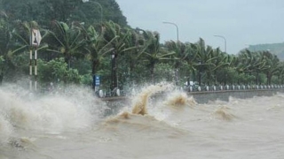 Chủ động ứng phó với áp thấp nhiệt đới có khả năng mạnh lên thành bão