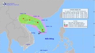 Tin bão khẩn cấp - Cơn bão số 2