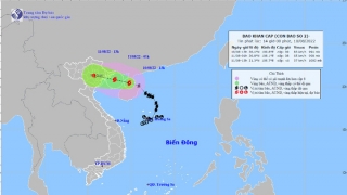 Cập nhật tình hình cơn bão số 2 - Bão Mulan giật cấp 11